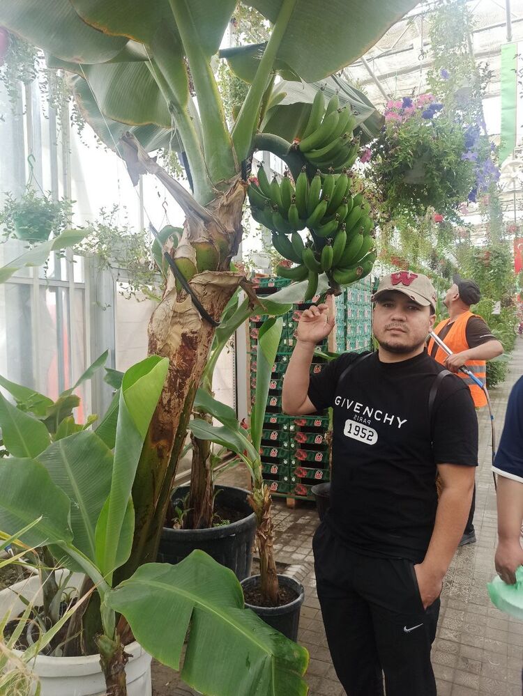  43415646  Memo, 26 ,    