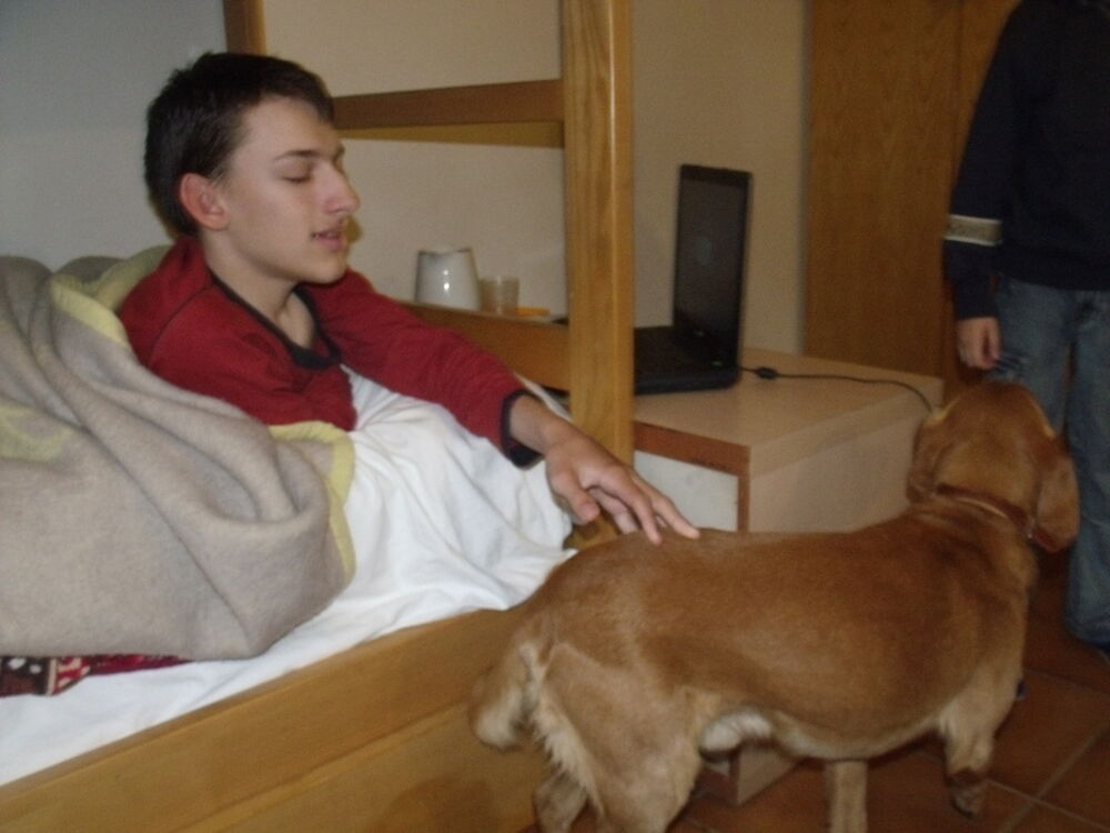 ���� 5461596 ������� Vl2, 31 ���, ���� ���������� � ������