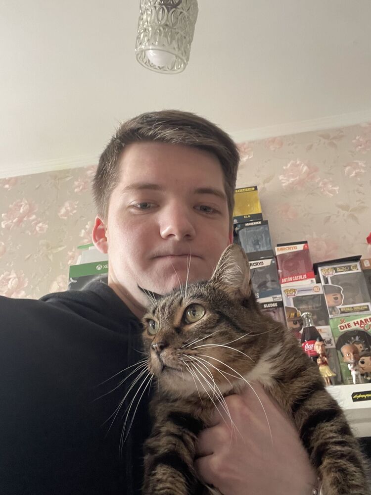 ���������� �����-���������, ���� ������� �����, 26 ���, ������������ ��� ������, ����� � ���������, c�������� ���������, ���������