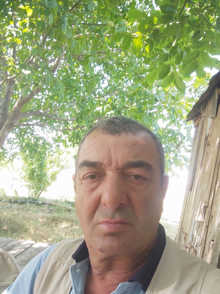  52281486  , 67 ,    
