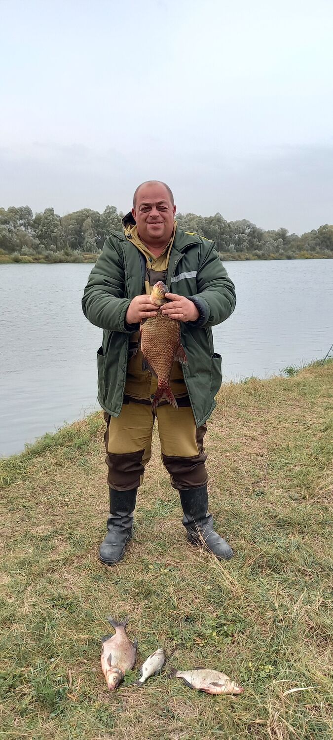 ���� 24337556 ������� ����, 42 ����, ���� ���������� � ������