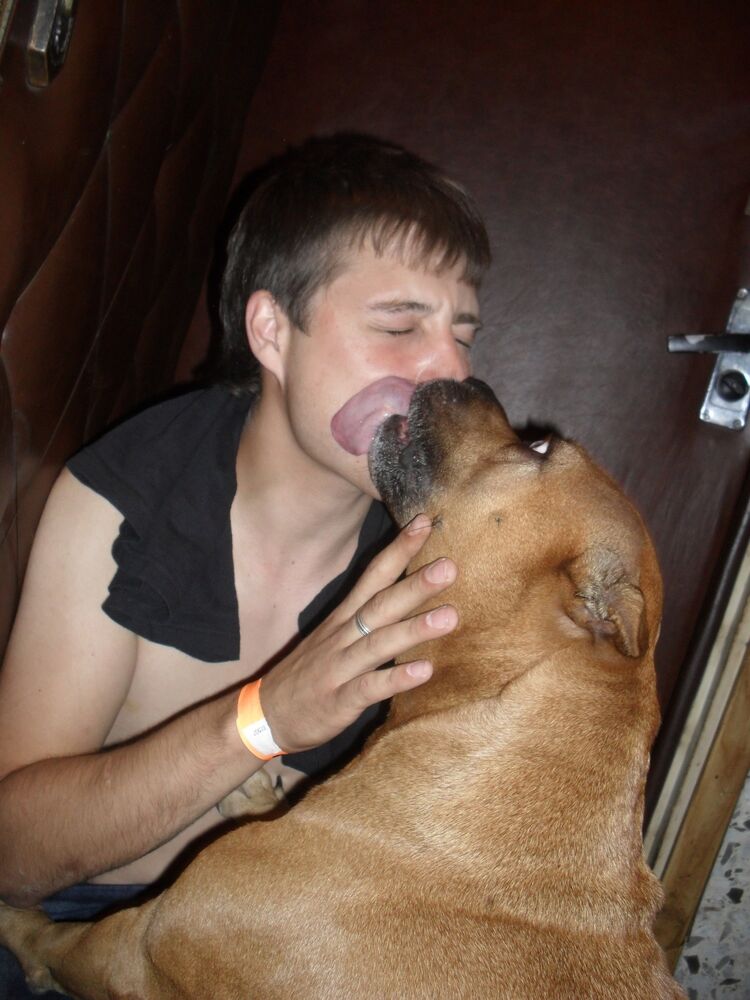 ���������� ������, ���� ������� ������, 36 ���, ������������ ��� ������, ����� � ���������