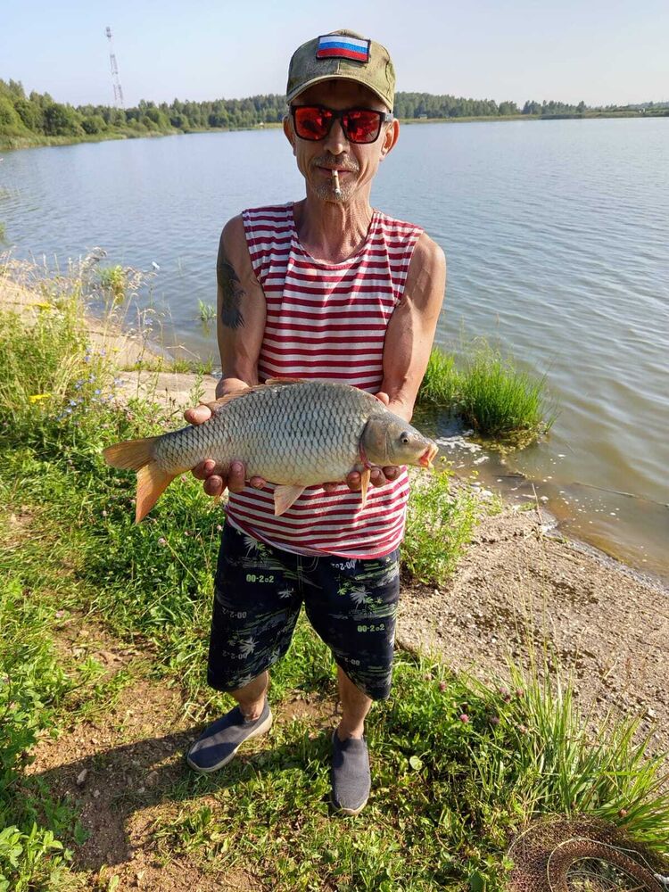 ���� 54999726 ������� �����, 52 ����, ���� ���������� � ������