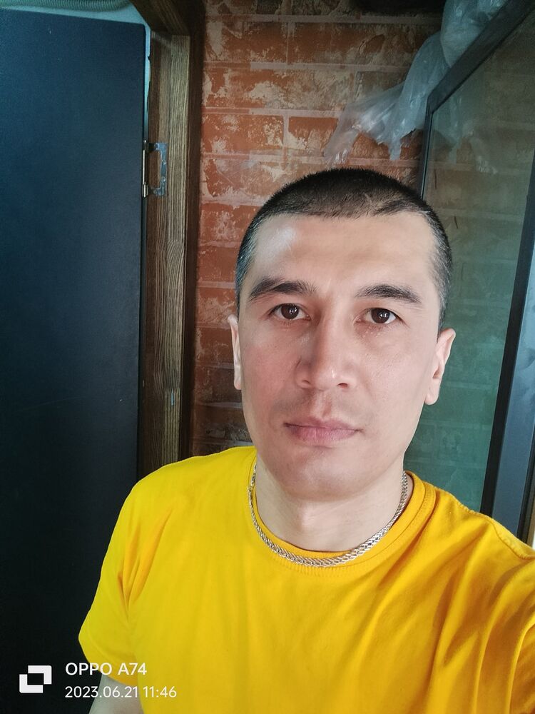  41291386  , 36 ,    