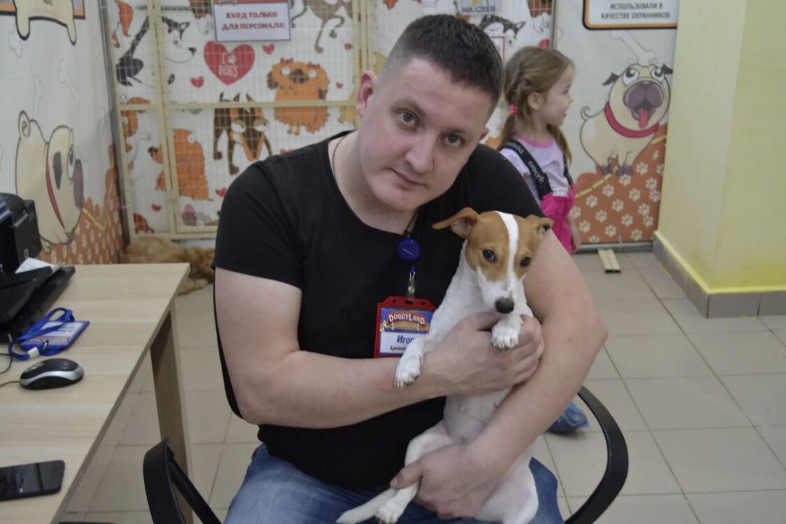 ���������� �����, ���� ������� �����, 43 ����, ������������ ��� ������, ����� � ���������, c�������� ���������