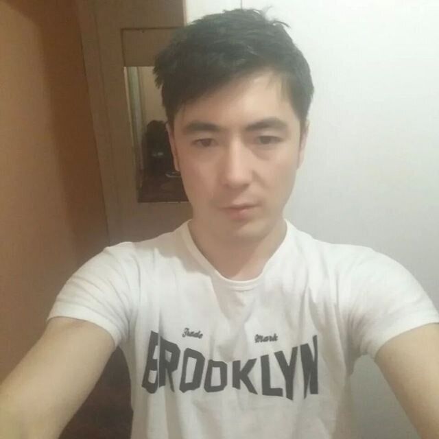  28137046  , 31 ,    