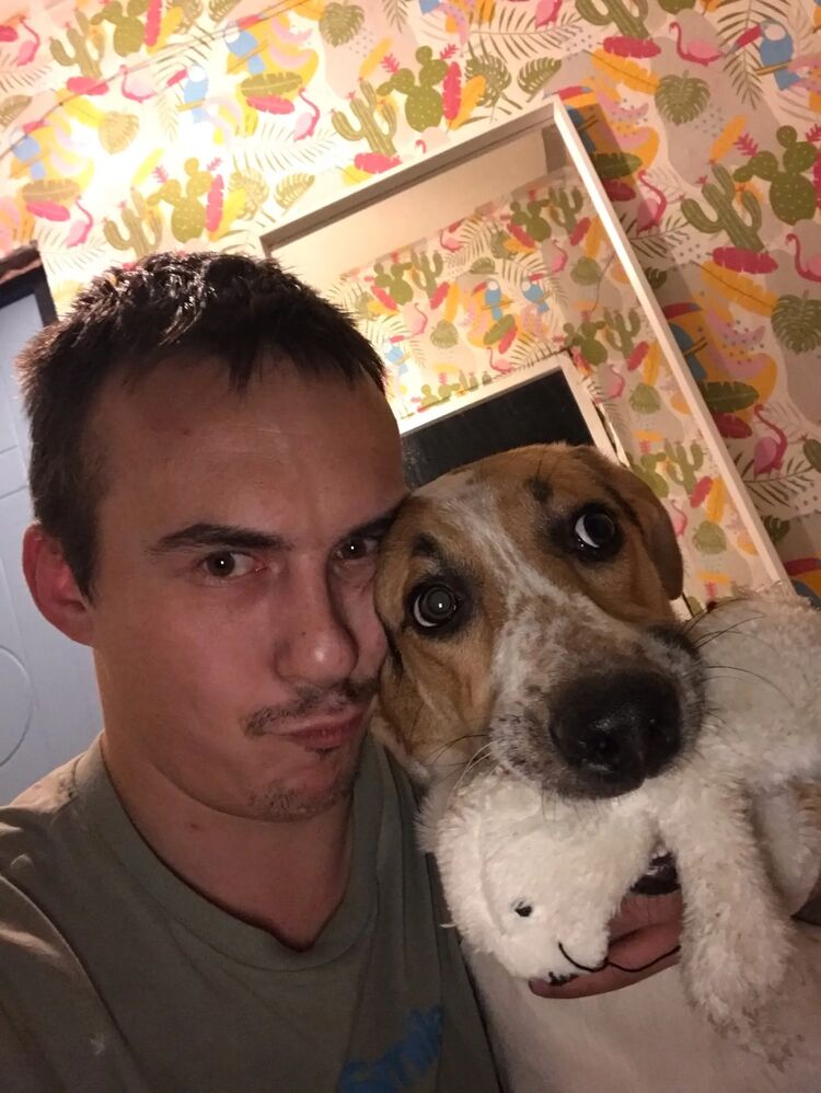 ���������� ������, ���� ������� �����, 36 ���, ������������ ��� ������, ����� � ���������, c�������� ���������