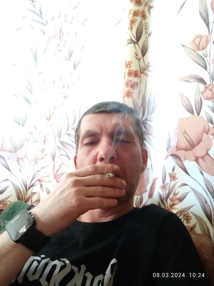  42437536  , 38 ,    