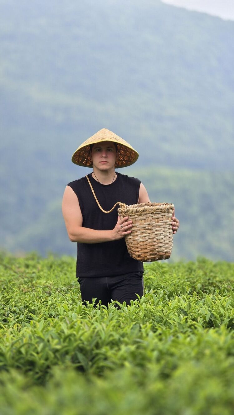  54238746  , 23 ,    --