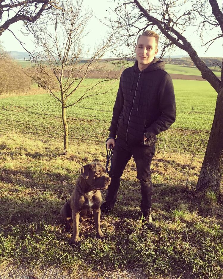 ���� 56019966 ������� ����, 38 ���, ���� ���������� � �����