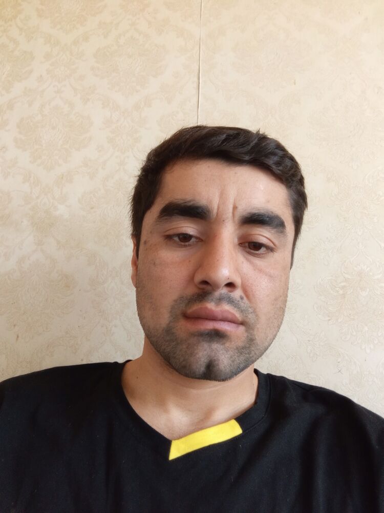  41930556  , 31 ,    