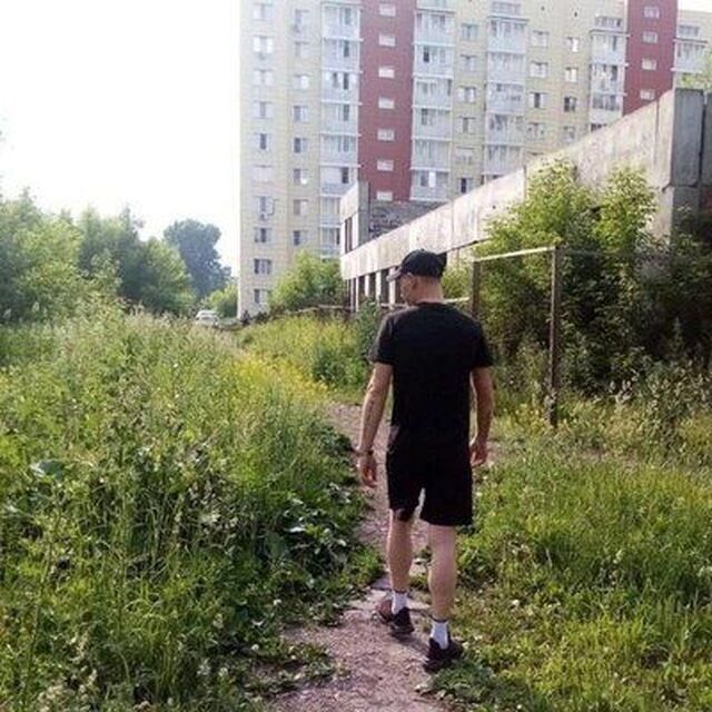  44442716  , 29 ,    