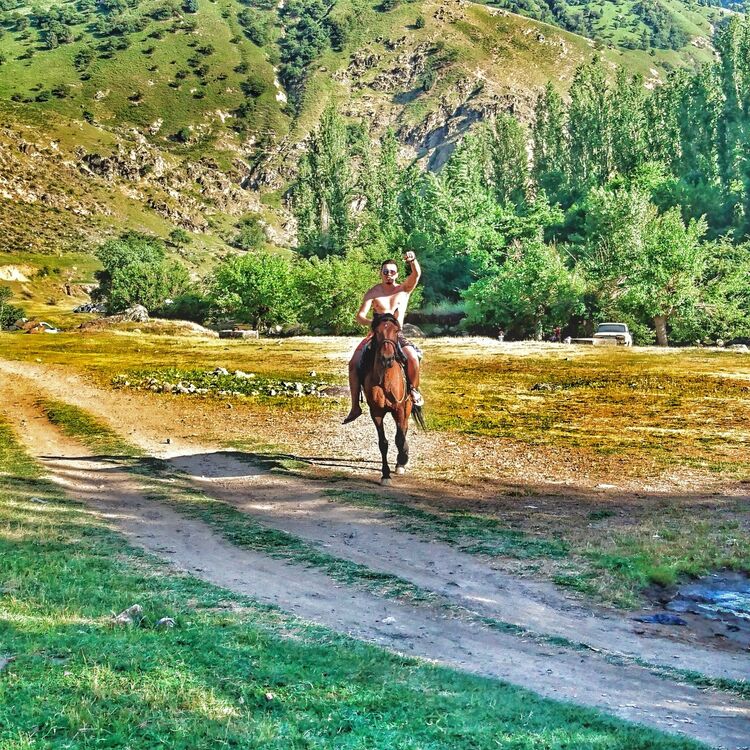 ���� 18831866 ������� Rustem, 32 ����, ���� ���������� � ��������