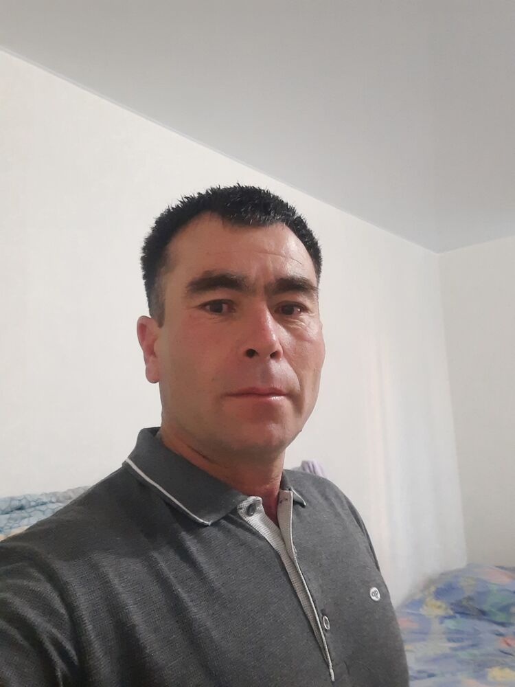  44621336  , 41 ,    