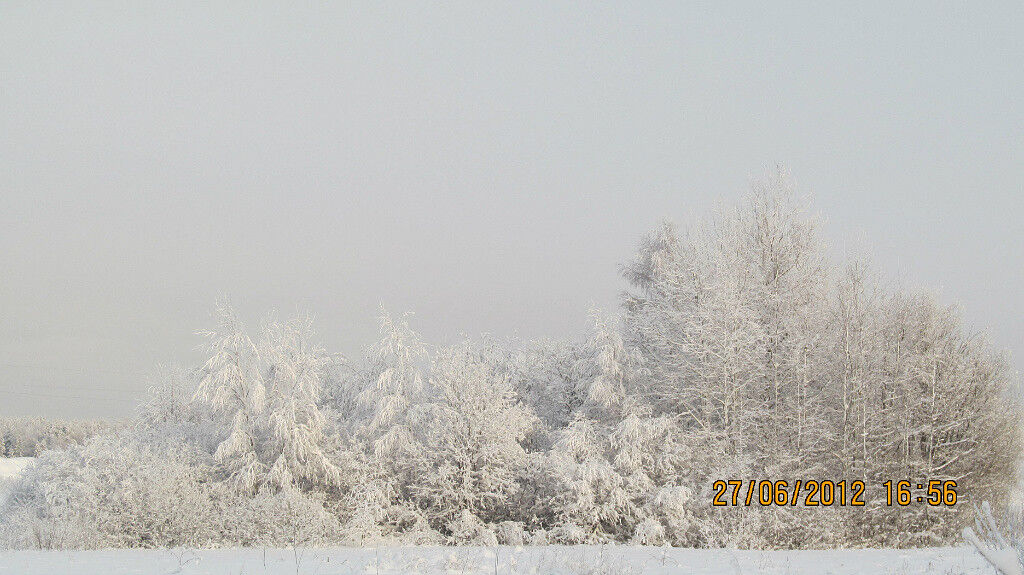 ���������� ������ ��������, ���� ������� ����, 33 ����, ������������ ��� ������, ����� � ���������, c�������� ���������, ���������