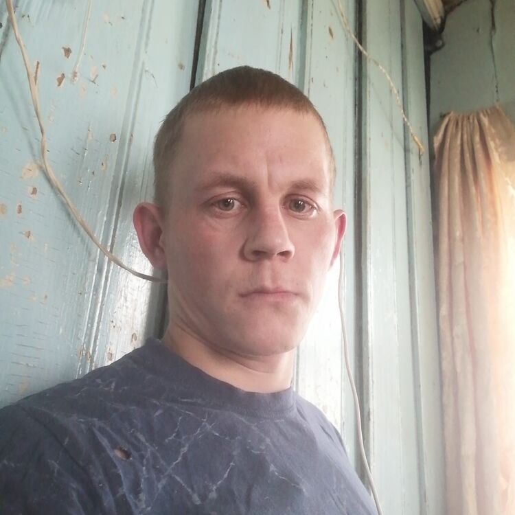  26284556  , 31 ,    