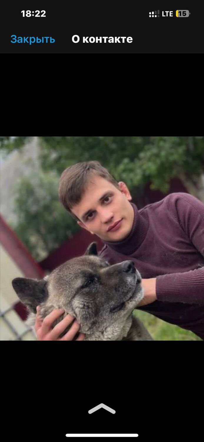 ���� 40202376 ������� ���������, 31 ���, ���� ���������� � ������������