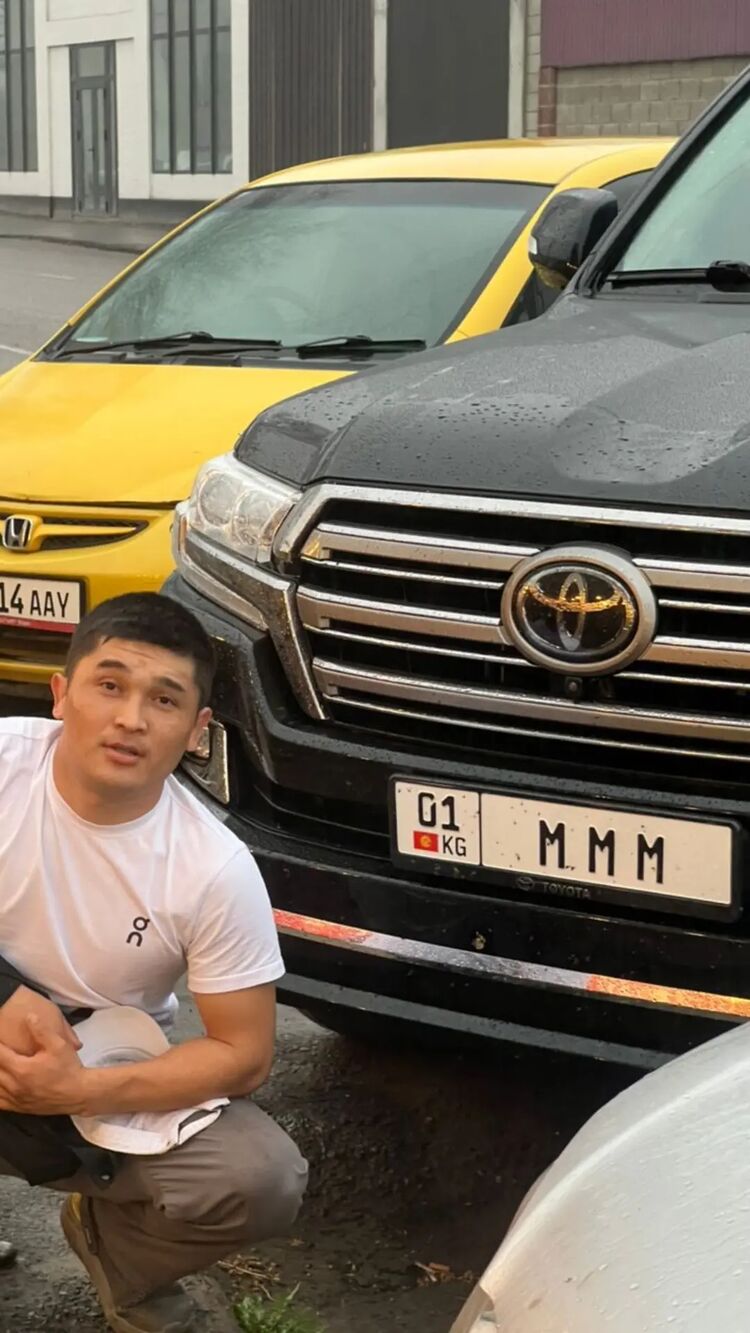 ���� 56268686 ������� Janur, 31 ���, ���� ���������� � �������