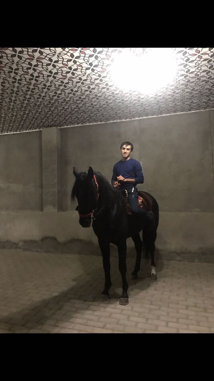 ���� 35923876 ������� ���, 26 ���, ���� ���������� � ������