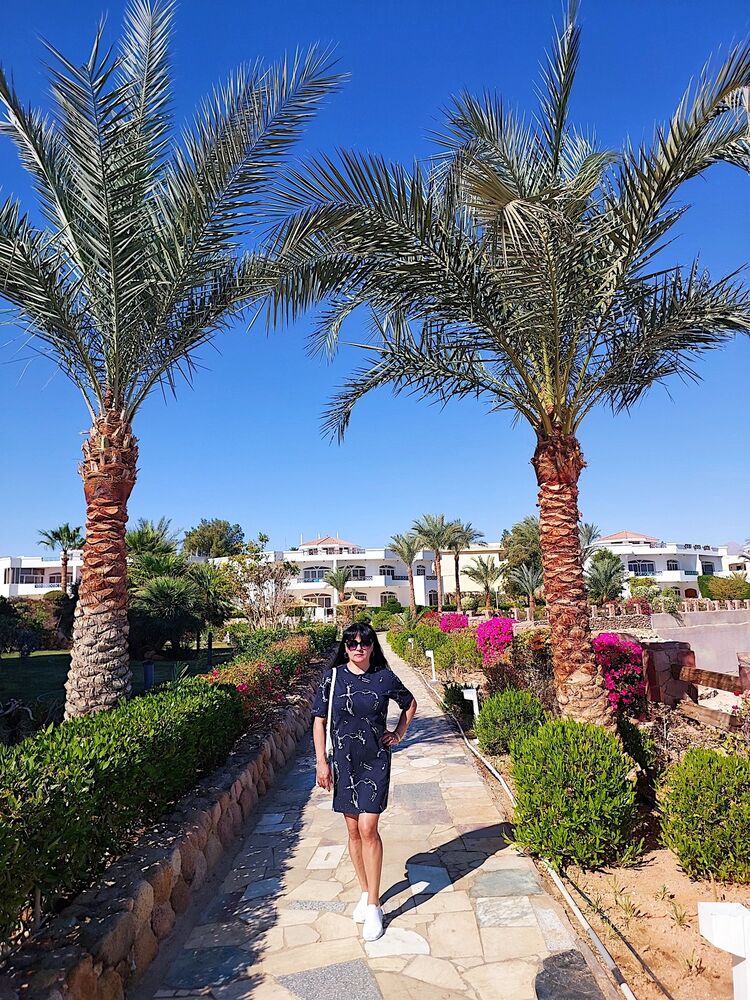 ���������� ������, ���� ������� �����, 49 ���, ������������ ��� c�������� ���������