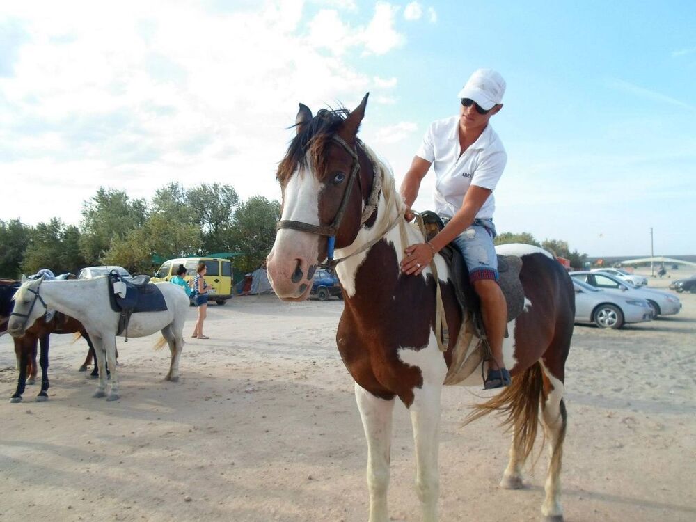 ���� 42705186 ������� �����, 31 ���, ���� ���������� � �����������