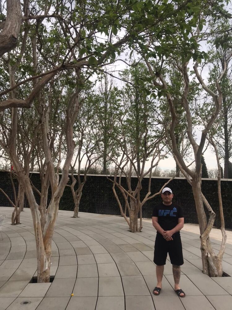 ���������� ���������, ���� ������� ��, 44 ����, ������������ ��� ������, ����� � ���������, c�������� ���������, ���������