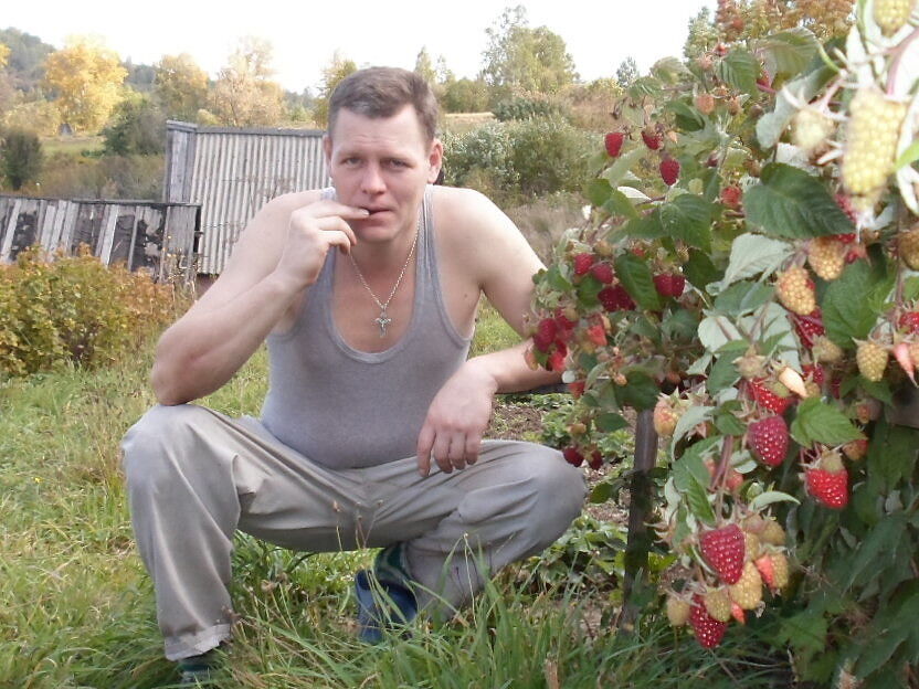 ���� 11412926 ������� ����, 50 ���, ���� ���������� � ������������