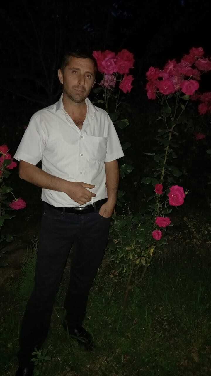  43385886  Terlan, 44 ,    