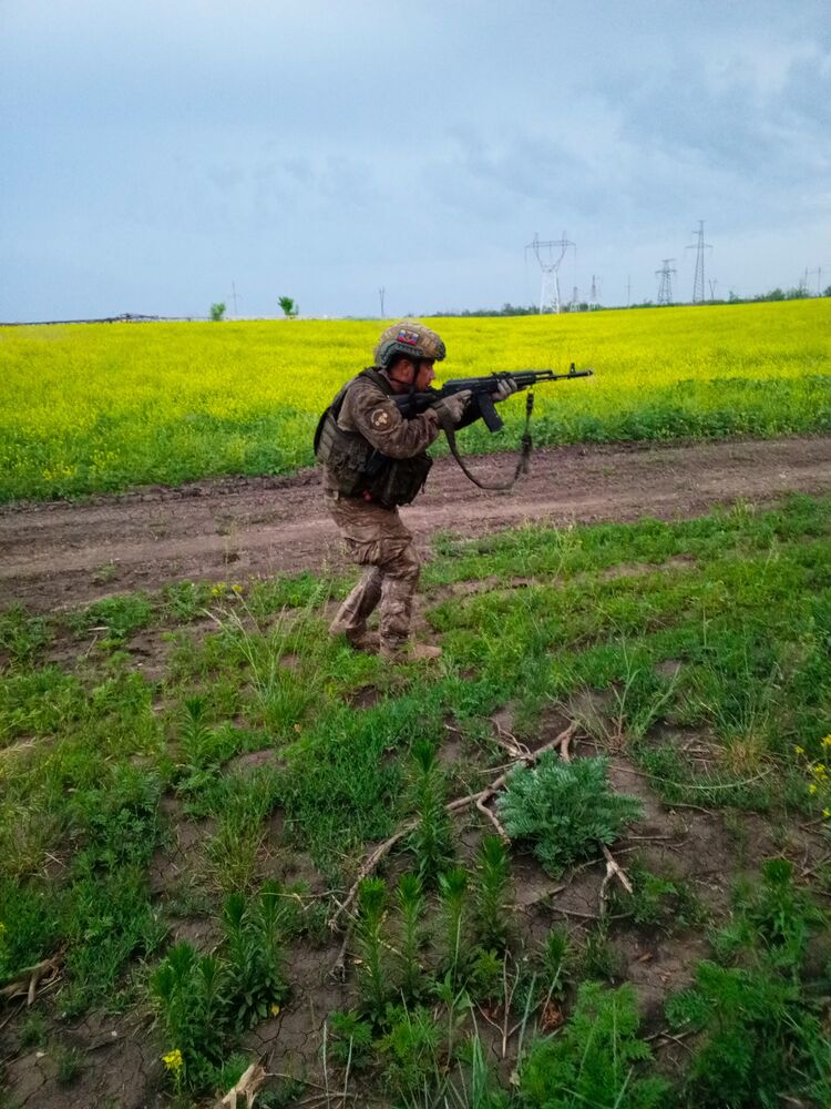 ���� 55345276 ������� ������, 33 ����, ���� ���������� � ������