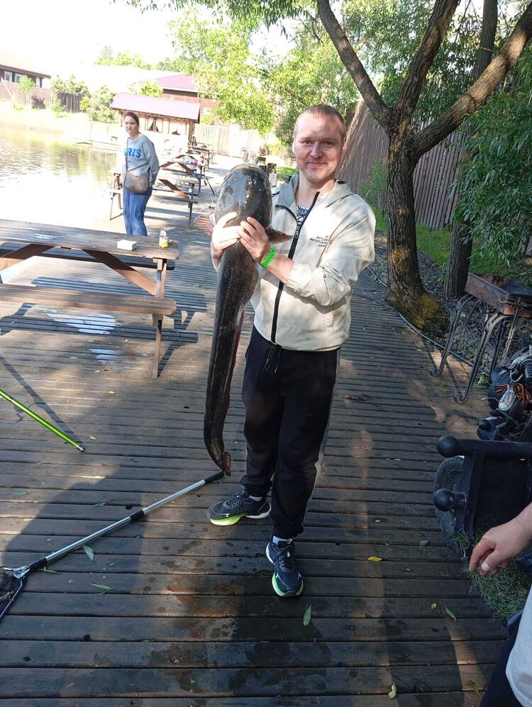 ���� 51888806 ������� ������, 33 ����, ���� ���������� � ������