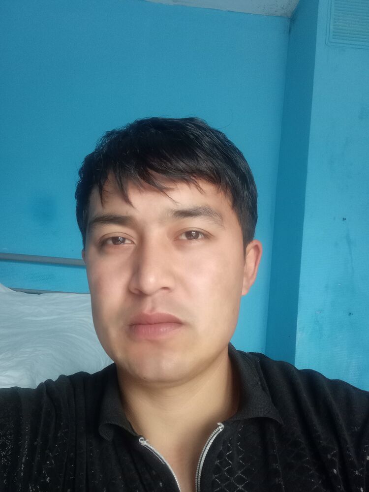  33909866  , 27 ,    