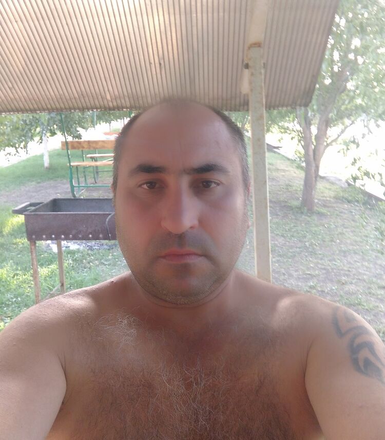  40385626  , 43 ,    