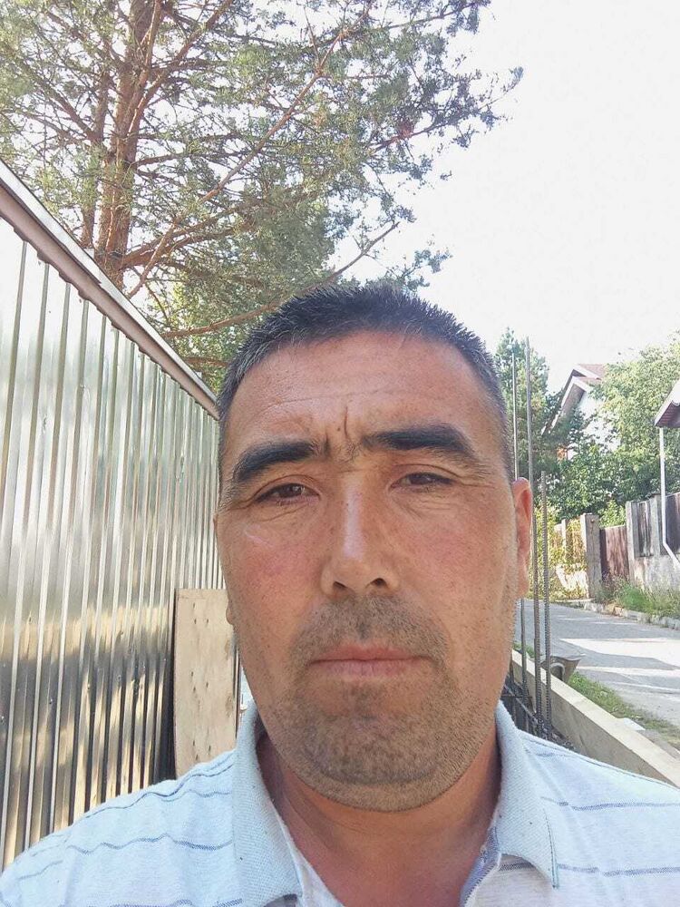  52994356  , 43 ,    