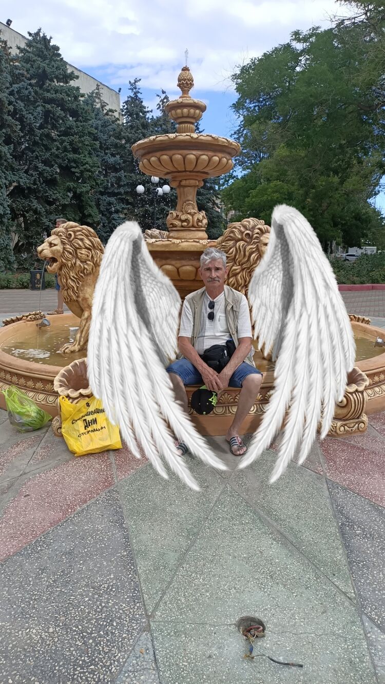  -,   , 55 ,   ,   