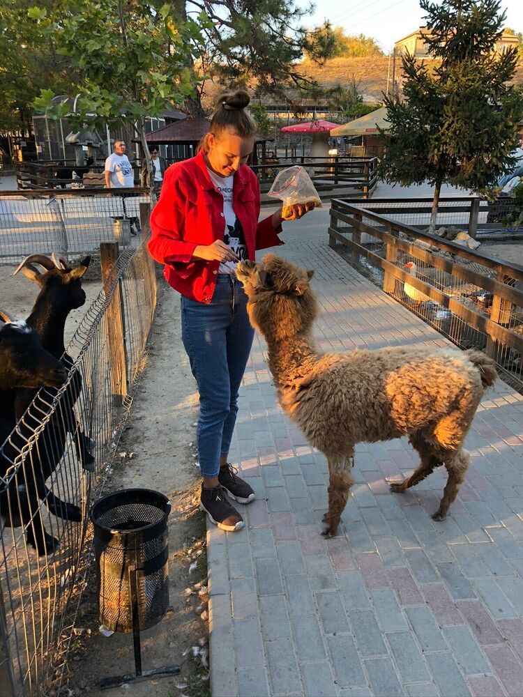 ���������� ������, ���� ������� �����, 31 ���, ������������ ��� ����� � ���������