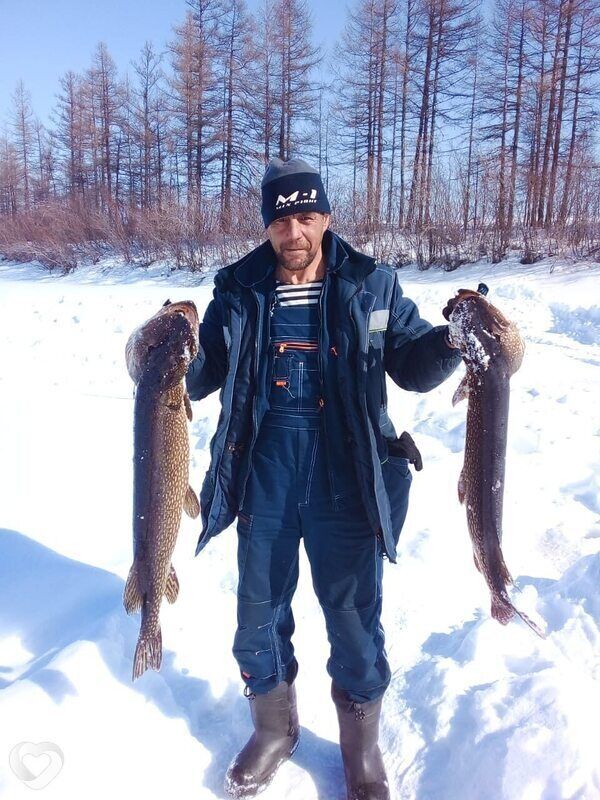 ���� 39708046 ������� ���������, 45 ���, ���� ���������� � ������