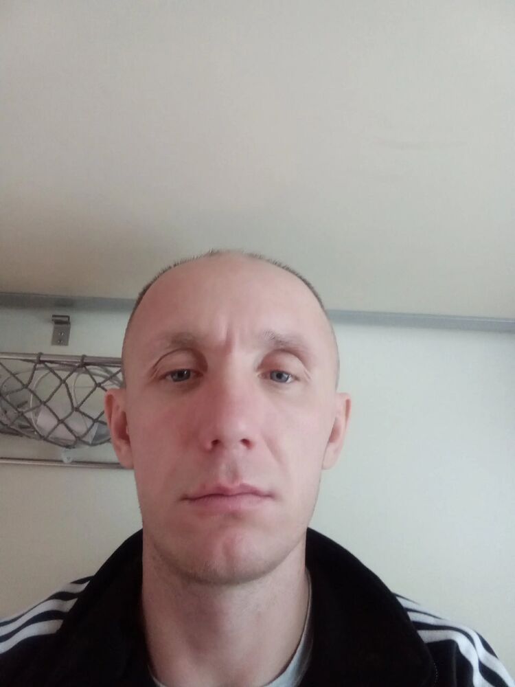  44564046  , 41 ,    