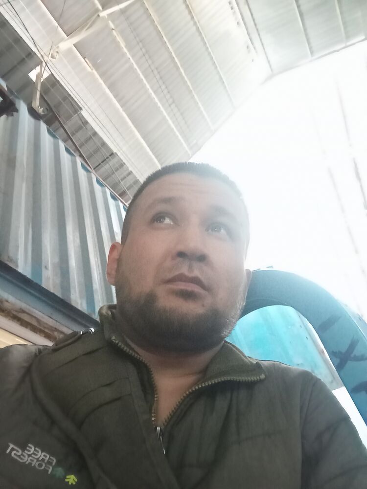 ���� 42989946 ������� Assassin, 34 ����, ���� ���������� � �������