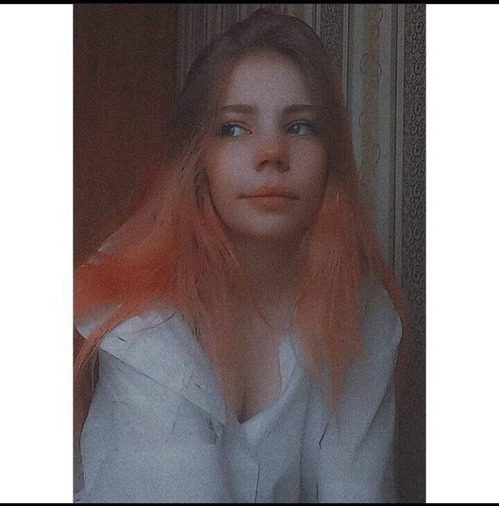 ���������� �����, ���� ������� ���������, 23 ����, ������������ ��� ������, ���������