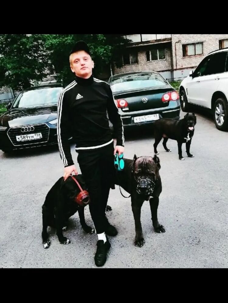 ���������� ���������, ���� ������� Vlad, 30 ���, ������������ ��� ������, ����� � ���������