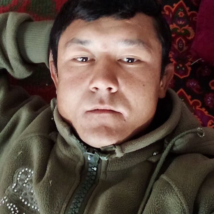  34616316  Alisher, 23 ,    -