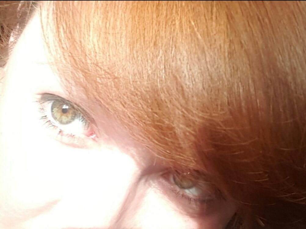  50073616  ˸, 41 ,    
