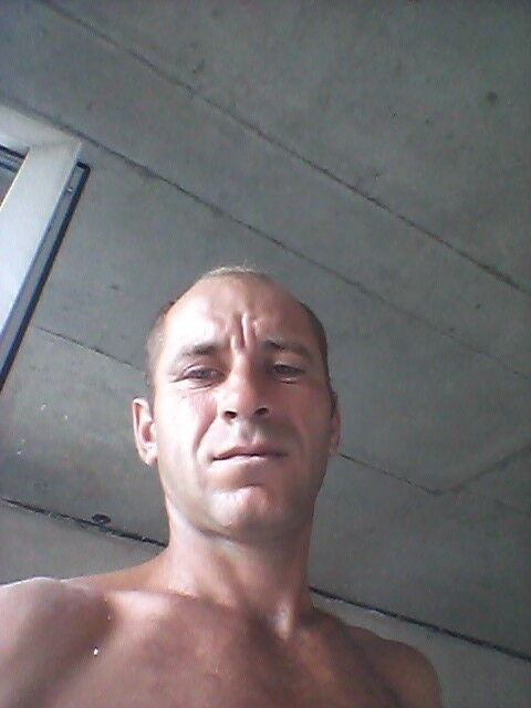  12756936  , 40 ,    