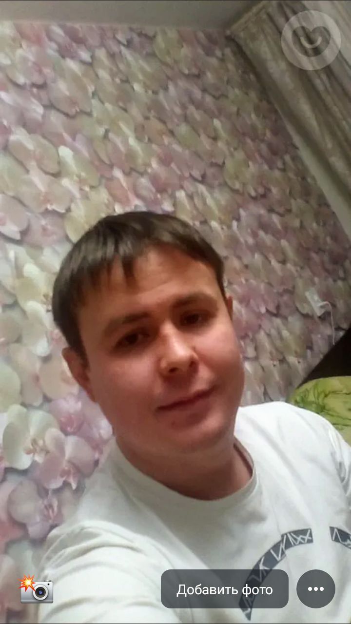  24446236  , 32 ,    