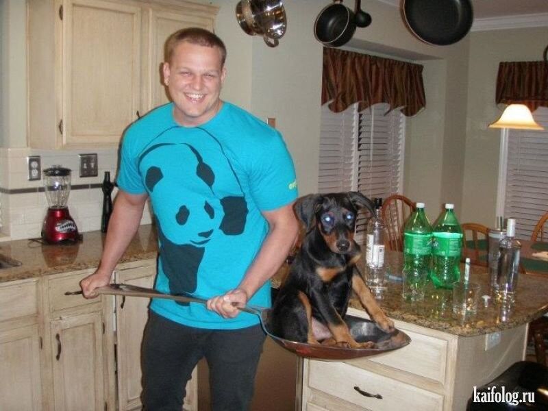 ���������� ��������, ���� ������� Sasha, 46 ���, ������������ ��� ������, ����� � ���������, c�������� ���������