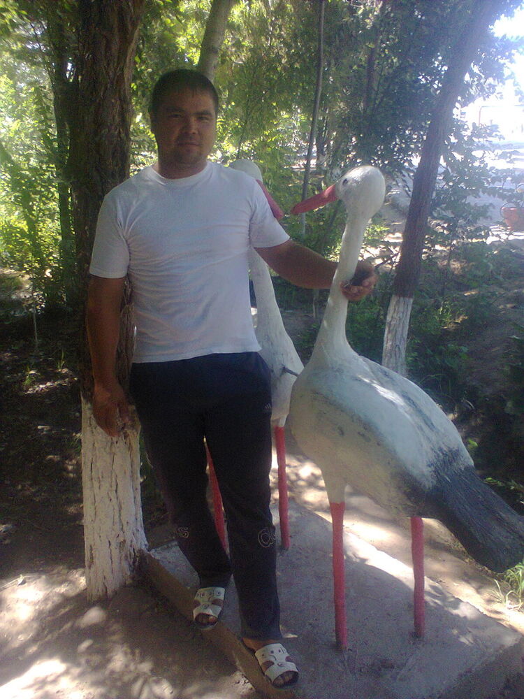 ���� 6008026 ������� �����, 38 ���, ���� ���������� � ������ ���������