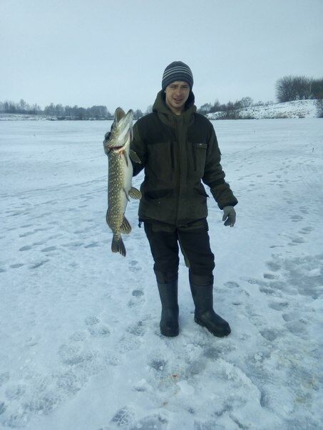  33364786  Maks, 32 ,    