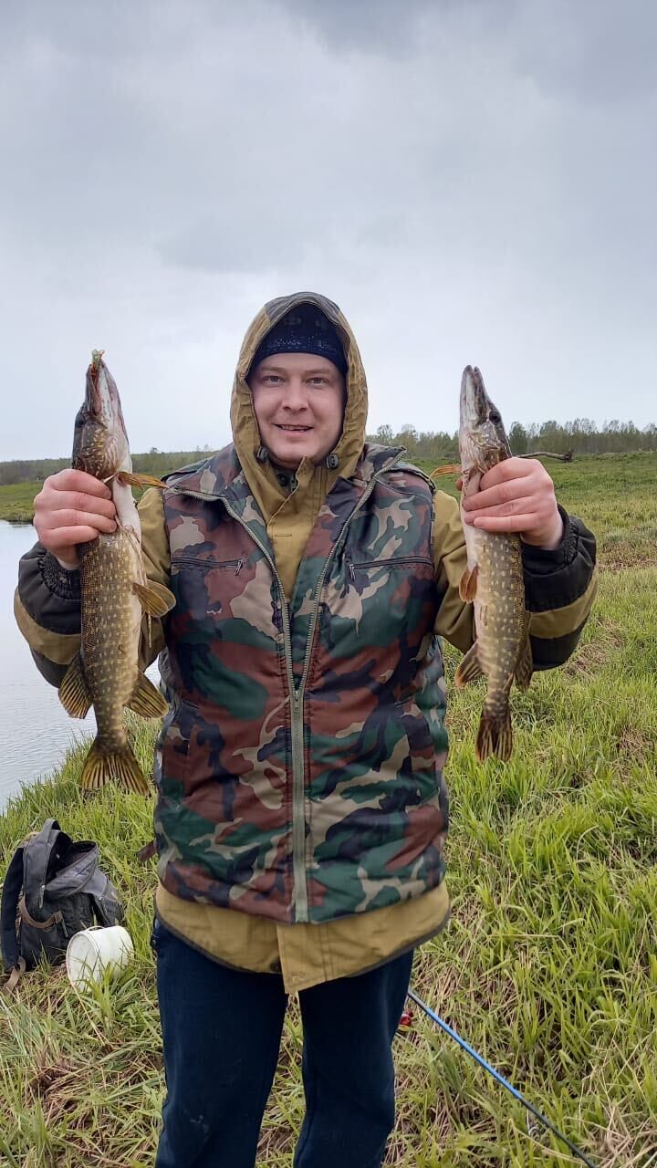 ���� 55250146 ������� ������, 37 ���, ���� ���������� � �����