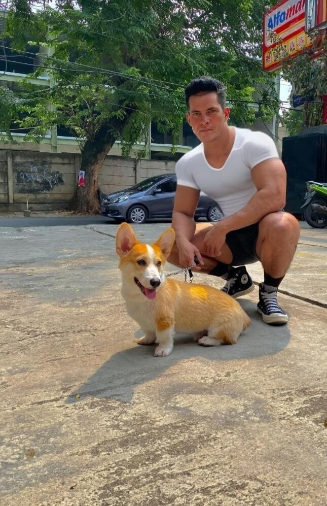 ���� 43999556 ������� �����, 41 ���, ���� ���������� � ������