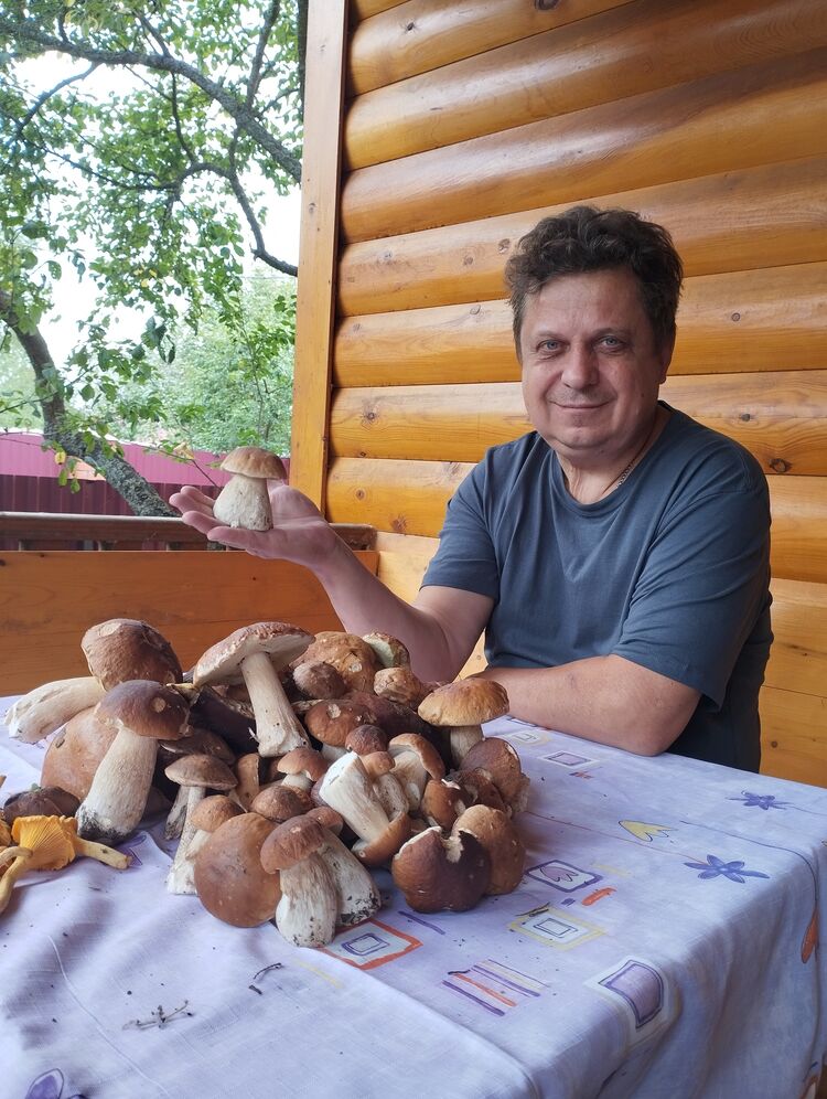 ���� 54351166 ������� �������, 60 ���, ���� ���������� � ������